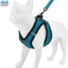 Best Pet Supplies Step-in Dog Harness Soft Plush, Step-in Ve...