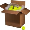 Franklin Sports X-40 Outdoor Pickleballs - Official Ball of ...