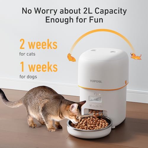Automatic Cat Feeders - 2L Cat Food Dispenser Easy to Use, T...