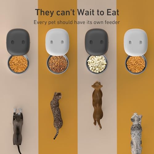 Automatic Cat Feeders - 2L Cat Food Dispenser Easy to Use, T...