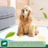 IMMCUTE Puppy Pads 22"x23" 100 Count | 6-Layer Leak-Proof & ...